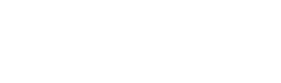 Damiani Group Salvini