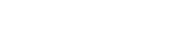 Damiani Group Salvini